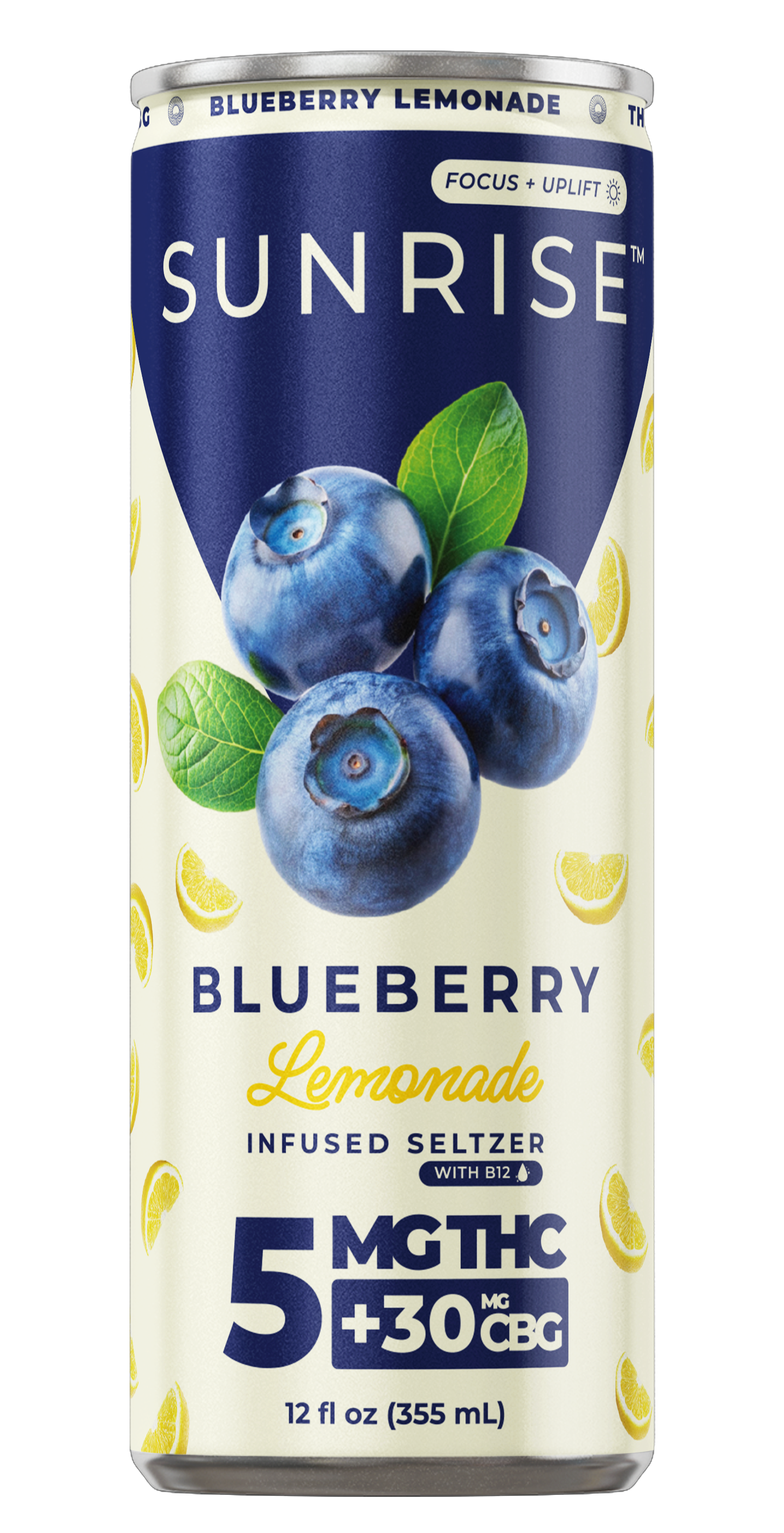 Blueberry Lemonade